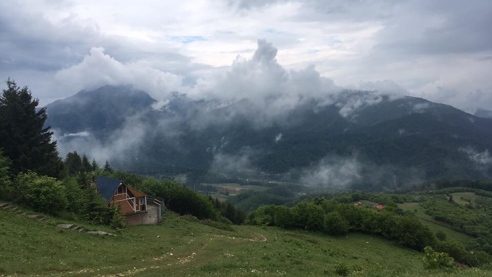 Picture of DECOLARE BUNLOC